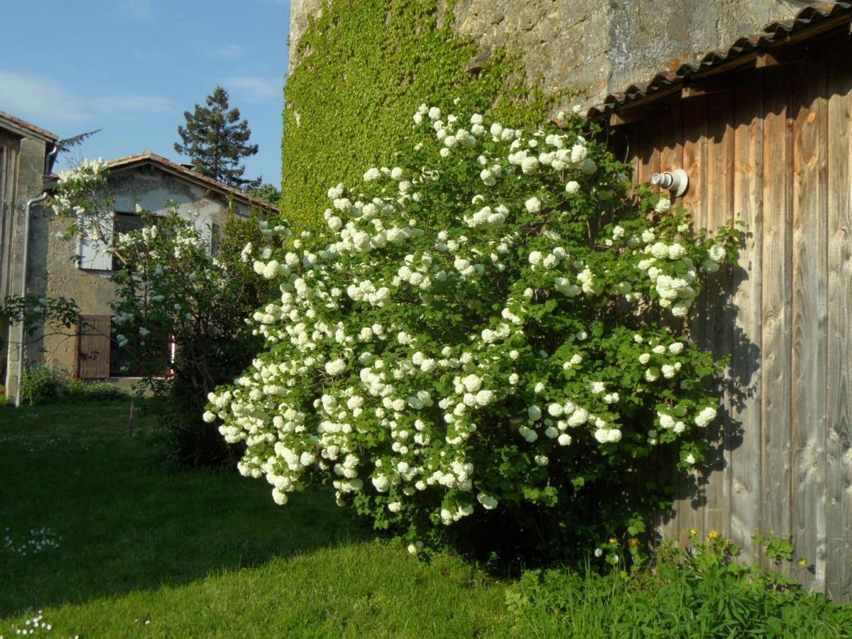 U Campana Bed & Breakfast Auros Exterior foto